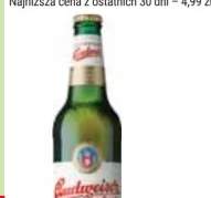 piwo Budweiser