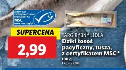 łosoś dziki