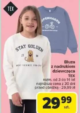 bluza