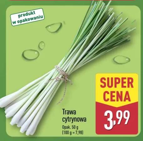 trawa cytrynowa