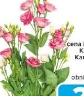 bukiet kwiatów