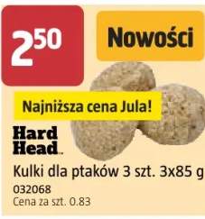karma dla ptaków