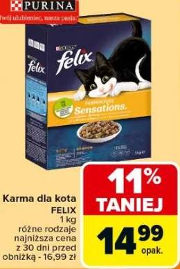 karma dla kota