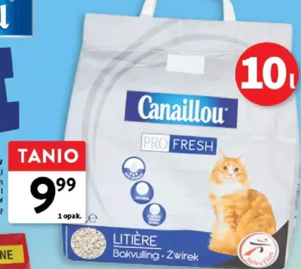żwirek dla kotów