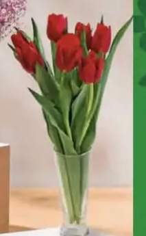 tulipany bukiet