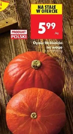 dynia hokkaido