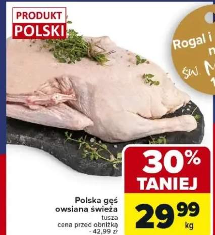 gęś świeża