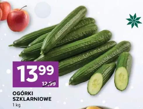 ogórek szklarniowy