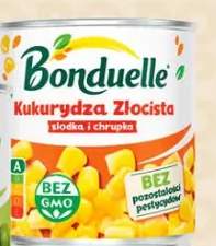 kukurydza konserwowa