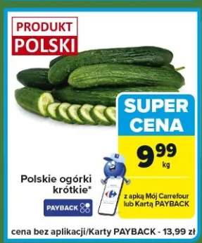 Ogórki krótkie polskie