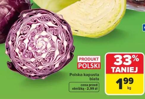 Polska kapusta biała