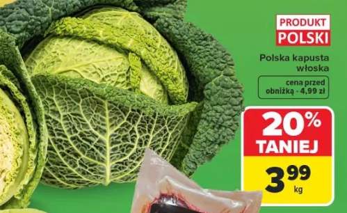 Polska kapusta włoska