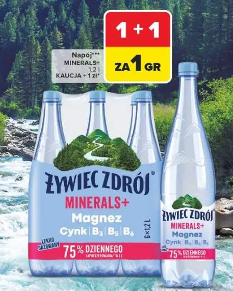 Woda Minerals+ Magnez Cynk B3 B5 B6 lekko gazowana