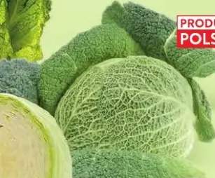 kapusta włoska