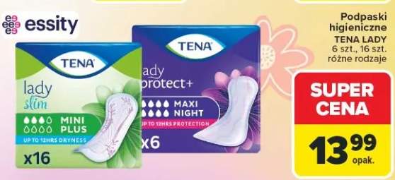 Podpaski higieniczne Lady Slim Mini Plus, Lady protect+