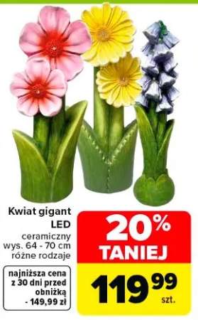 Kwiat gigant LED ceramiczny różne rodzaje