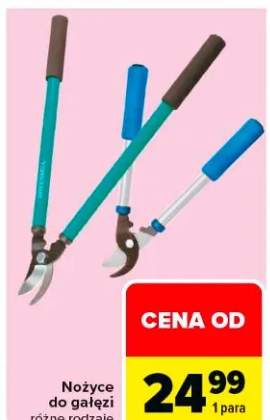 Nożyce do gałęzi różne rodzaje
