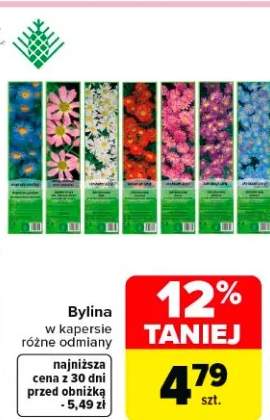 Bylina w kapersie różne odmiany