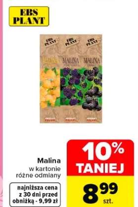 Malina w kartonie różne odmiany