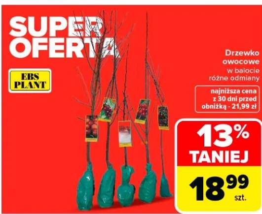 Drzewko owocowe w balocie różne odmiany