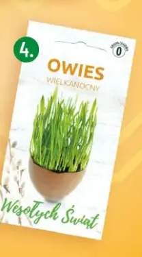 owies