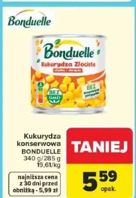 Kukurydza konserwowa