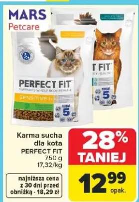 Karma sucha dla kota