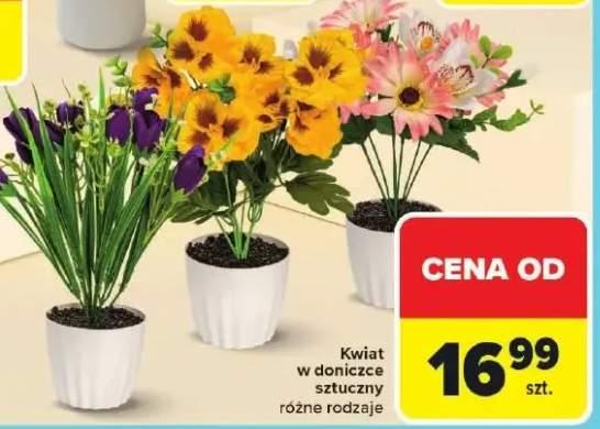 Kwiat w doniczce sztuczny różne rodzaje