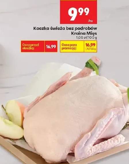 kaczka świeża