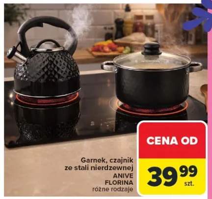 Garnek, czajnik ze stali nierdzewnej Anive Florina różne rodzaje
