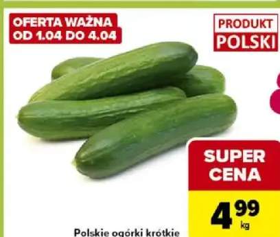 Polskie ogórki krótkie