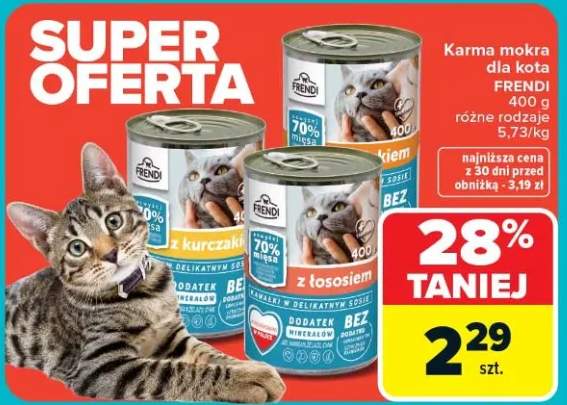 Karma mokra dla kota różne rodzaje z łososiem