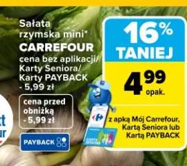 Sałata rzymska mini