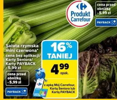 Sałata rzymska mini czerwona