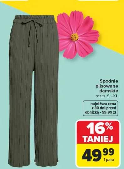 Spodnie plisowane damskie