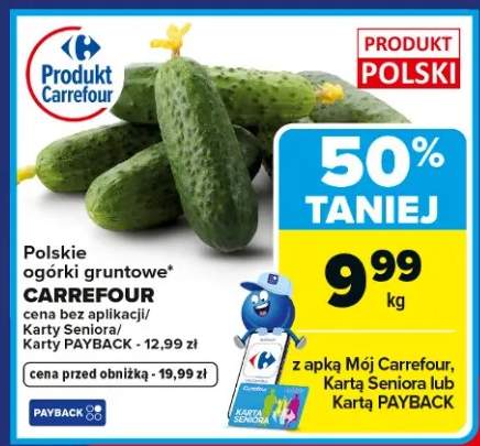 Polskie ogórki gruntowe
