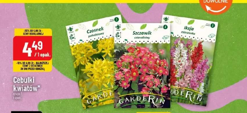 cebulki kwiatów