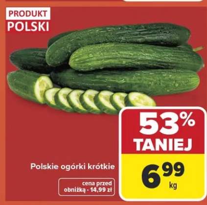 Polskie ogórki krótkie