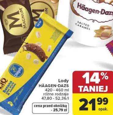 Lody różne rodzaje