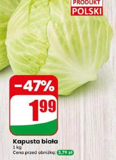 kapusta biała