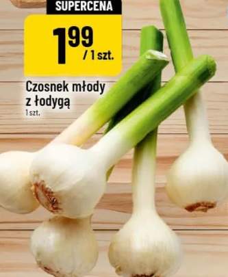 czosnek młody