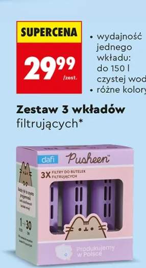 wkład filtrujący