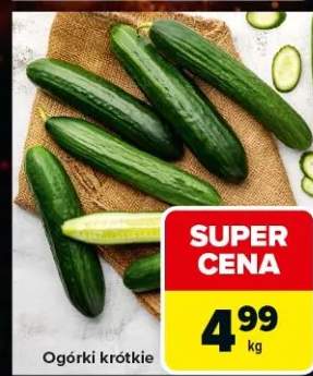 Ogórki krótkie
