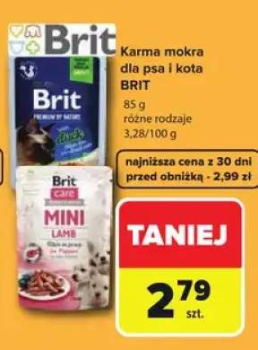 Karma mokra dla psa i kota Brit