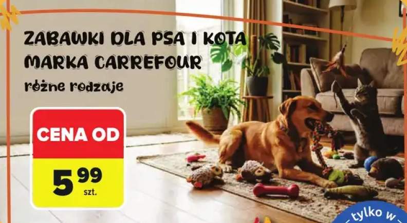 Zabawki dla psa i kota Carrefour