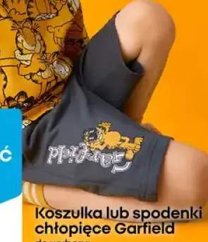 spodenki chłopięce