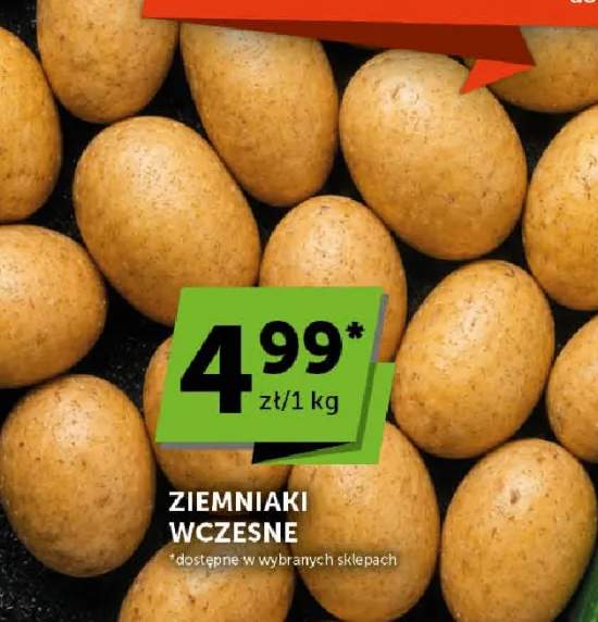 ziemniaki wczesne