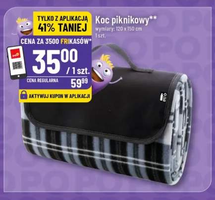 koc piknikowy