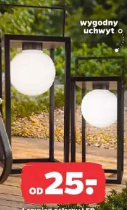 lampion