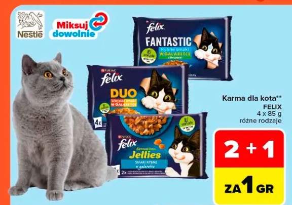 Karma dla kota Felix Duo wiejskie smaki w galaretce 4-pak 85g